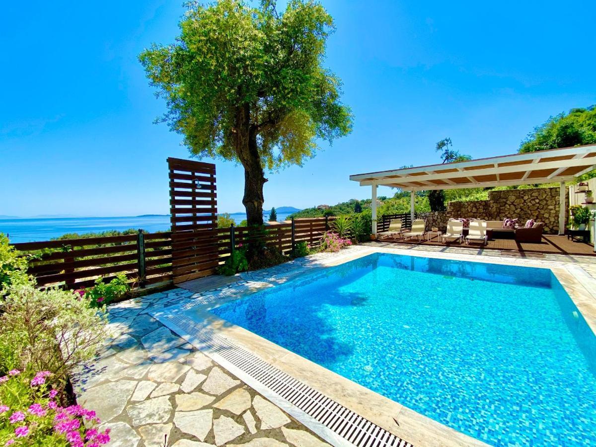 Villa Barbati Dream With Private Pool By Dadovillas Pyrgi  エクステリア 写真